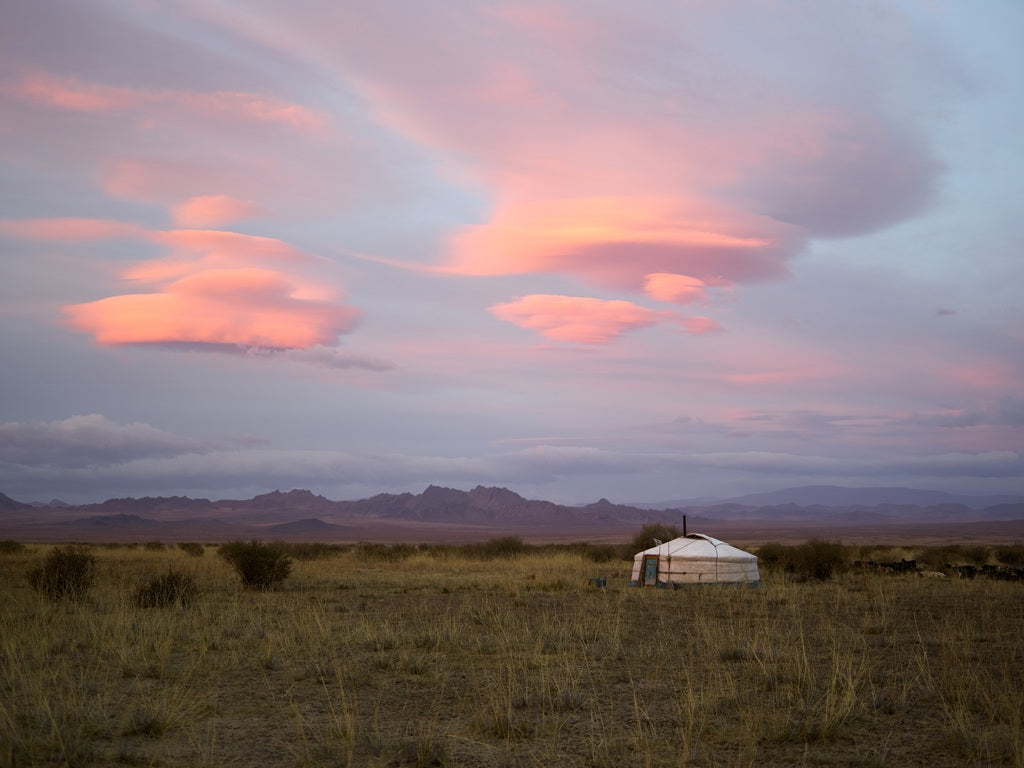 The Origins of Mongolian Cashmere